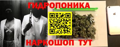 гидропоника Нальчик